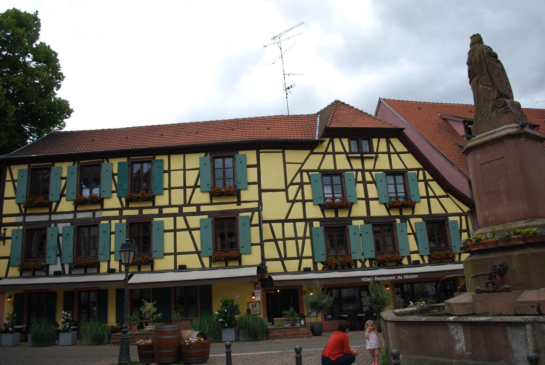3 6 