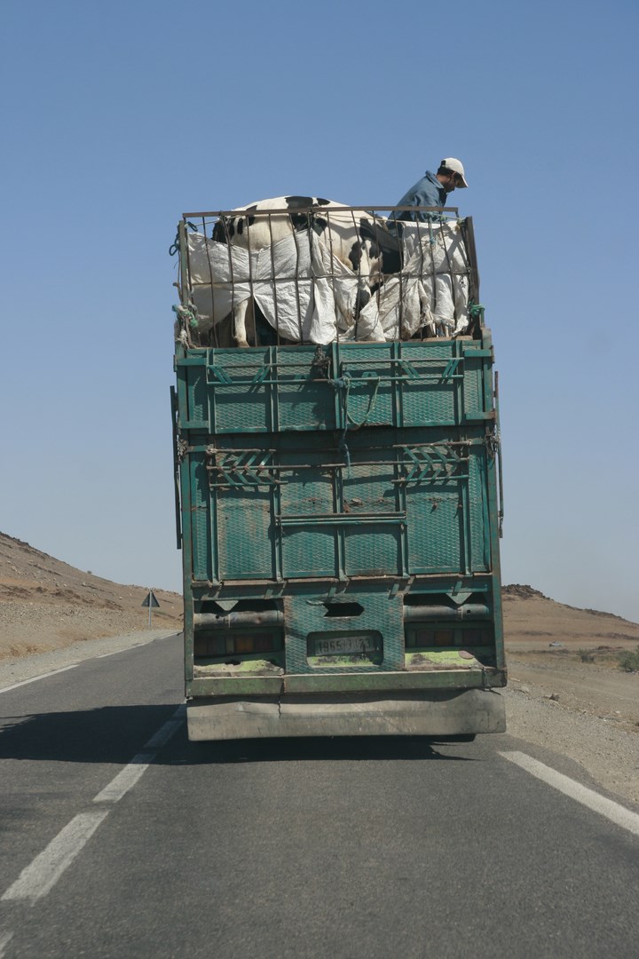 Maroc mg 6264 copier